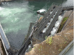 리버밀(River Mill Dam)댐의 어도와 치어방류 파이프